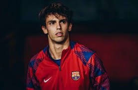 德甲战报：布兰特破门，施洛特贝克建功，多特2-0霍芬海姆